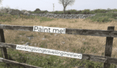 Image of a fence that needs painted