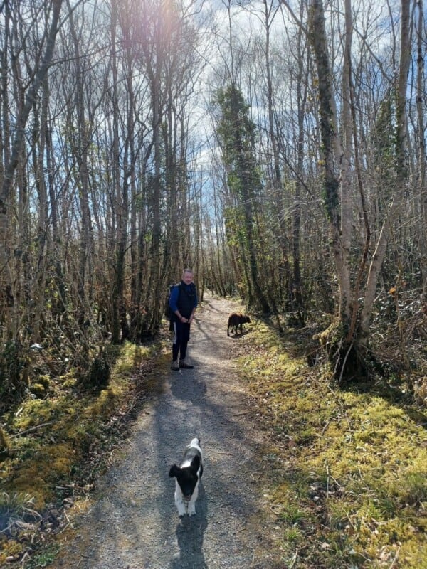 David in Attyslany Woods with two dogs